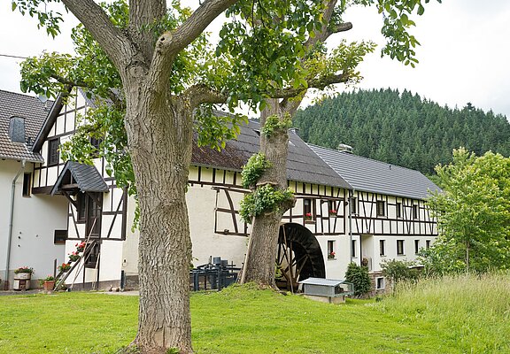 Hahnensteiner Mühle bei Insul