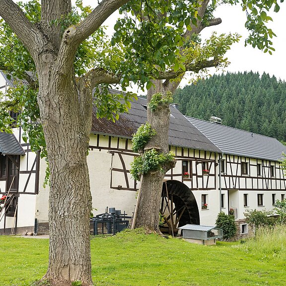 Hahnensteiner Mühle bei Insul
