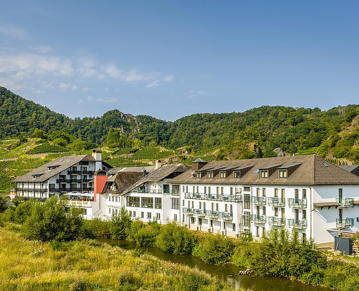 Außenansicht mit Weinbergen