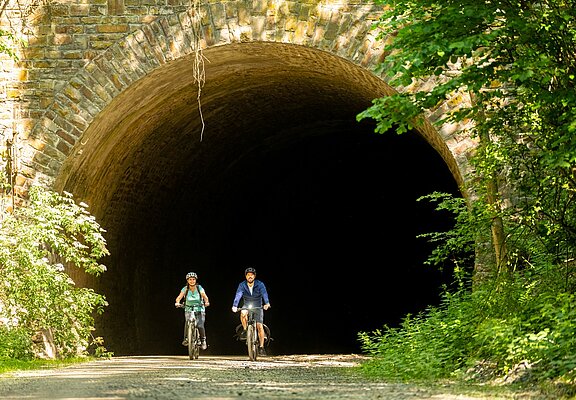 Ahr-Radweg bei Insul