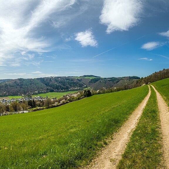 Auf dem Schweißberg bei Insul