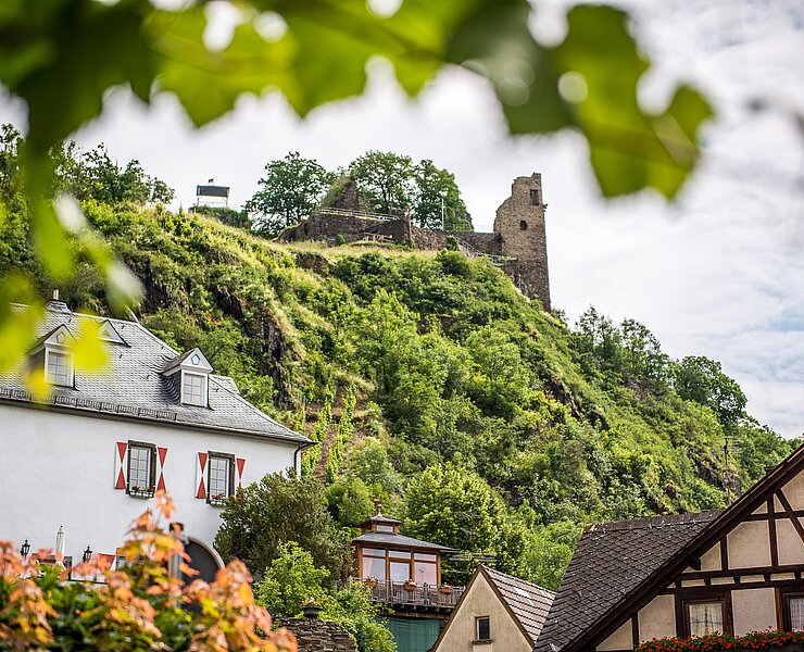 Blick auf die Burg Are