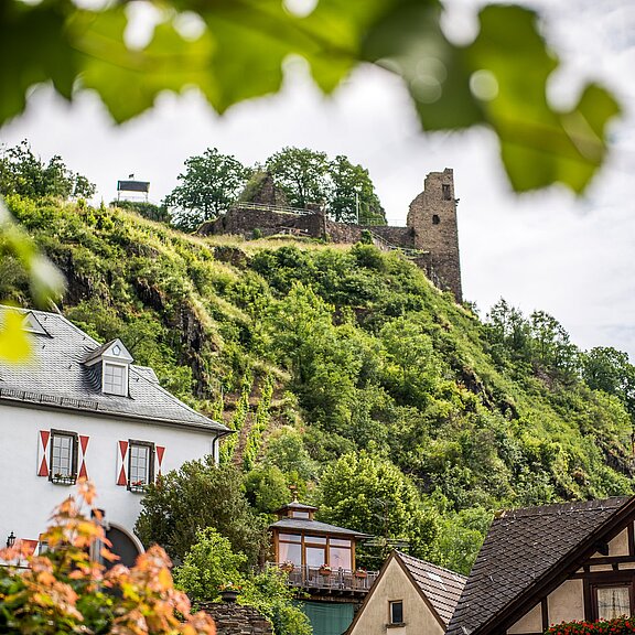 Blick auf die Burg Are