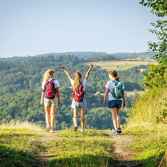 Sahrbachtal-Gottfried-Kinkel-Weg, Häselingen