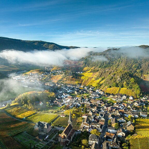 Blick auf  Mayschoss