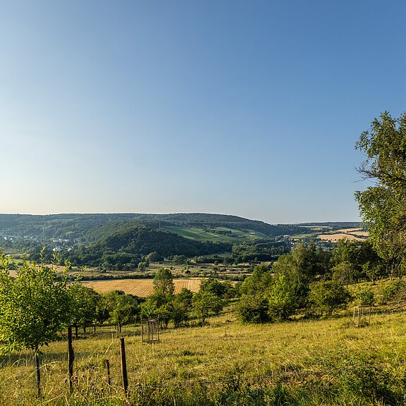 Ausblick bei Lohrsdorf