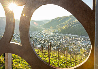 Blick vom Sonderberg, ausgezeichnet zur "Schönsten Weinsicht der Ahr 2016"