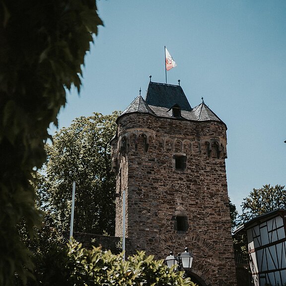 Rodderhof (20 von 542)