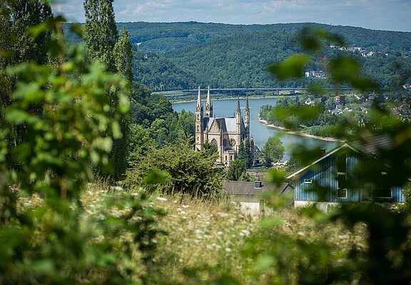 Blick auf Apollinariskirche