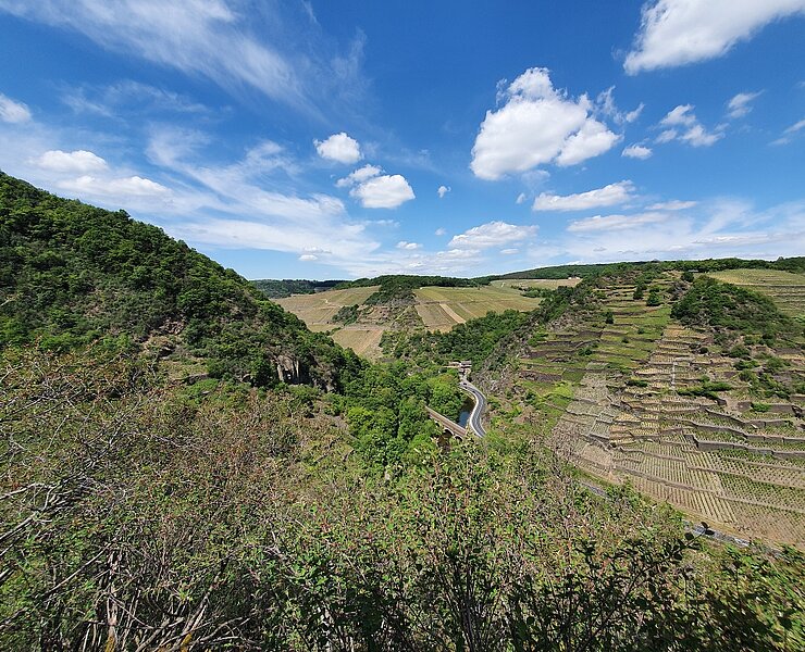 Ausblick von der Katzley