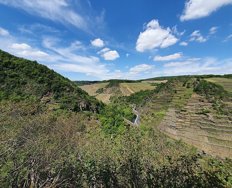 Ausblick von der Katzley