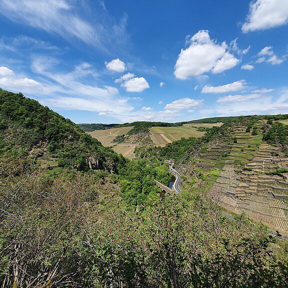 Ausblick von der Katzley