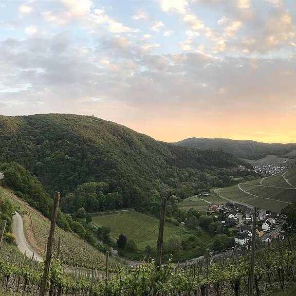 Sonnenuntergang über Dernau
