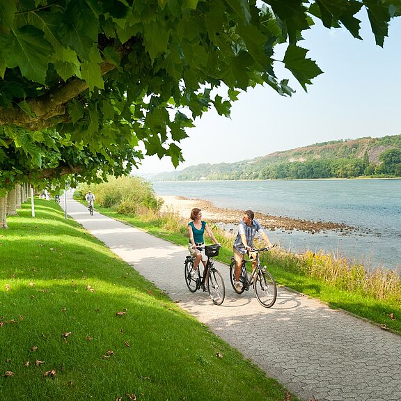 Rheinradweg bei Bad Breisig