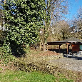Startpunkt Radarena in Kirchwald