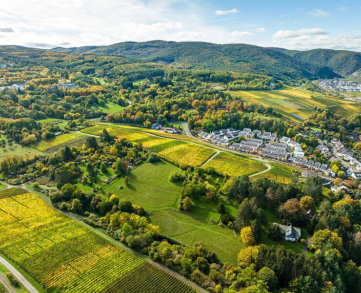 Ahrweiler Bergfriedhof