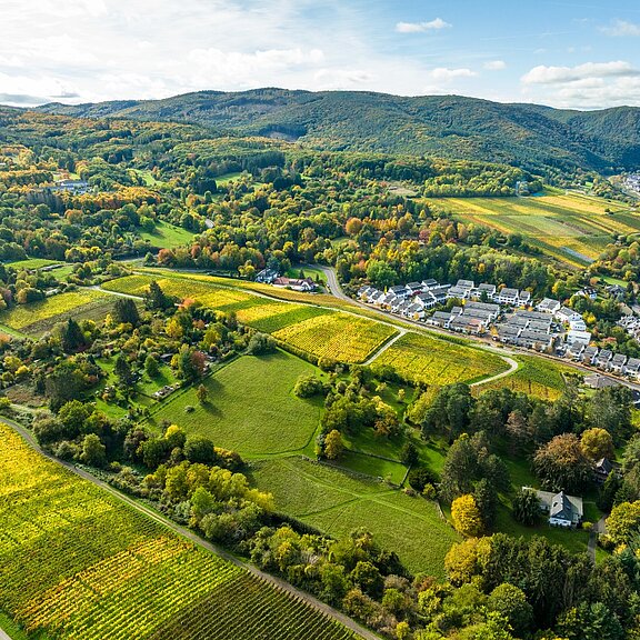 Ahrweiler Bergfriedhof