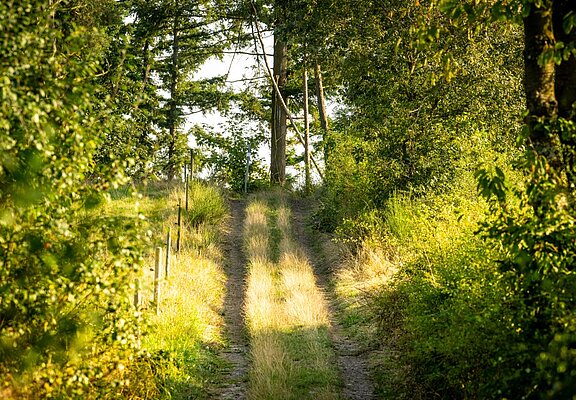 Im Sahrbachtal