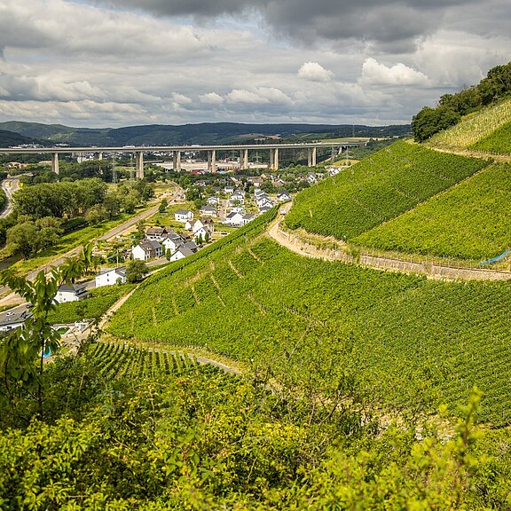 Blick Richtung Heimersheim