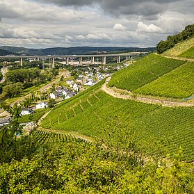 Blick Richtung Heimersheim
