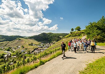 Geführte Terrainwanderung