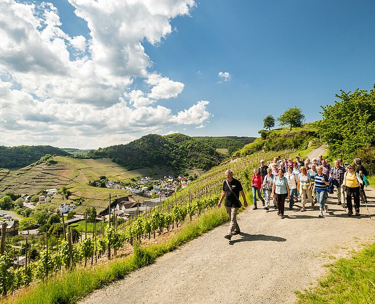 Geführte Terrainwanderung