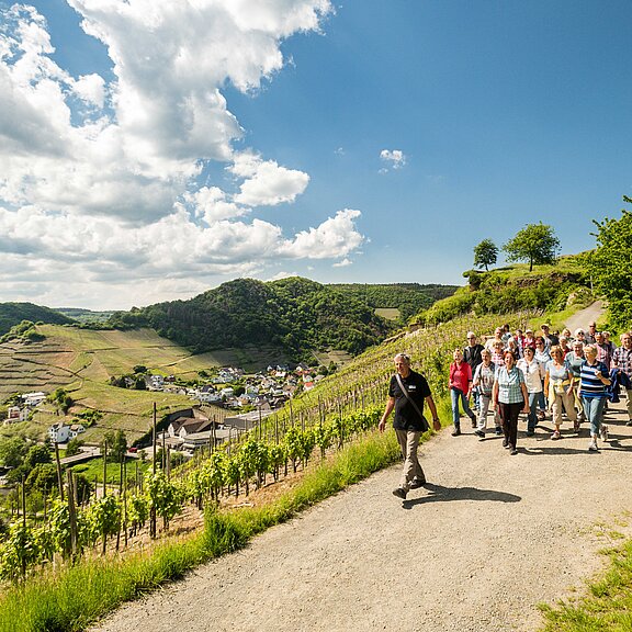 Geführte Terrainwanderung