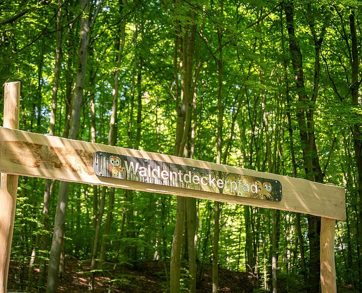 Waldentdeckerpfad Bad Neuenahr-Ahrweiler