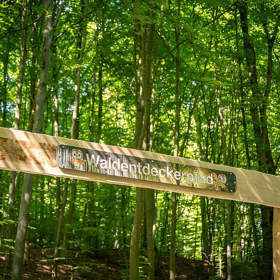 Waldentdeckerpfad Bad Neuenahr-Ahrweiler