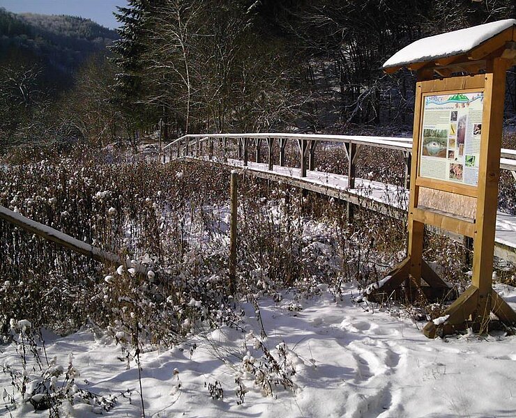 Winterimpression