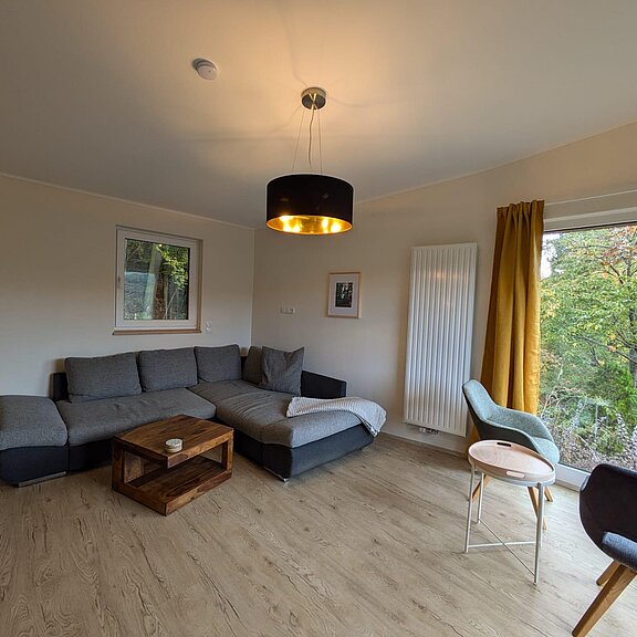 großes geräumiges Wohnzimmer