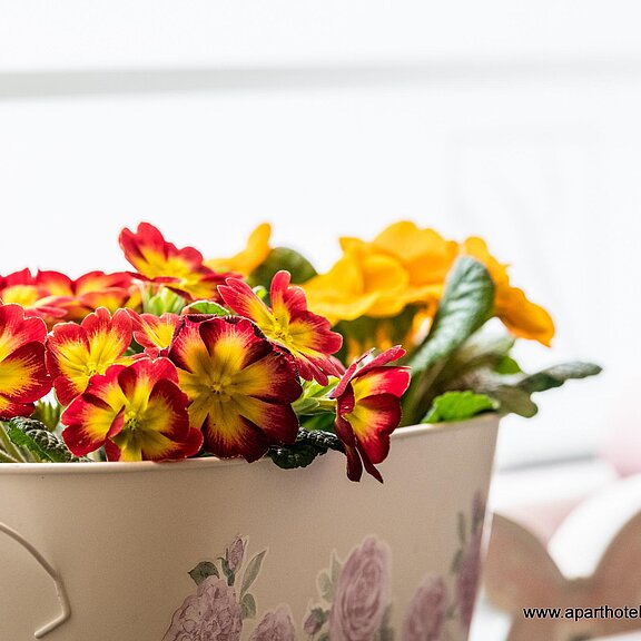 33-Aparthotel am Kurpark-2020-041