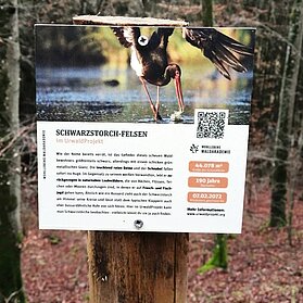 Schwarzstorch Waldretter-Trail