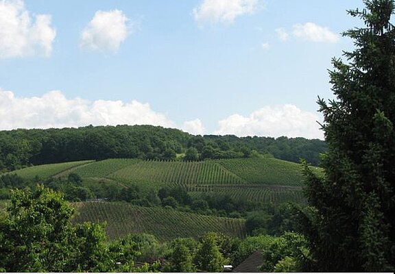 Aussicht