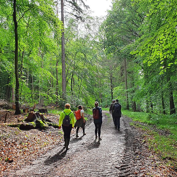 Waldbaden mit RobinWoods