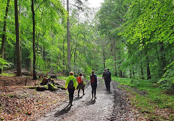 Waldbaden mit RobinWoods