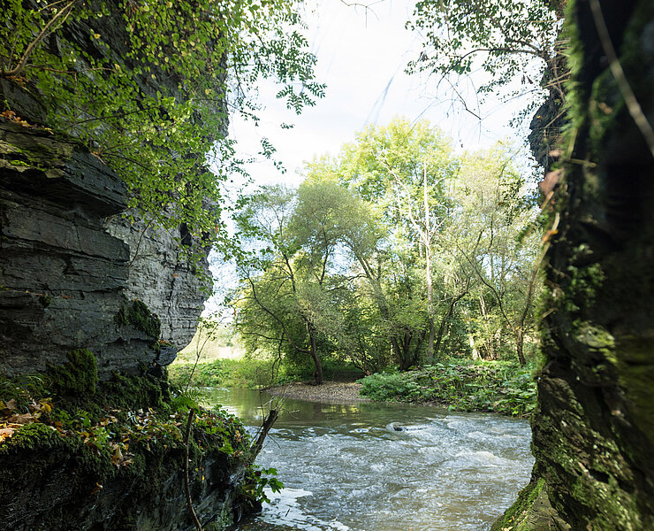 Prümer Tor, Ahrtal, Naturdenkmal