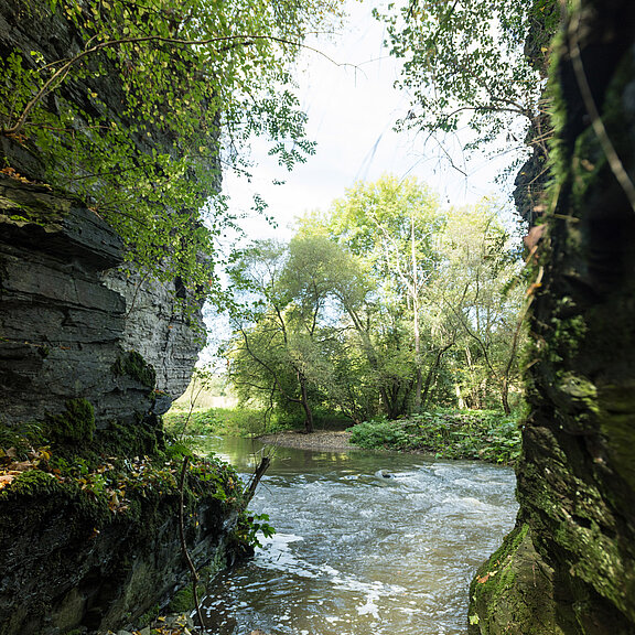 Prümer Tor, Ahrtal, Naturdenkmal