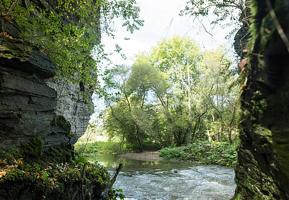 Prümer Tor, Ahrtal, Naturdenkmal