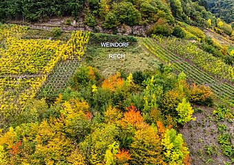 Aussichtspunkt mit Schriftzug Weindorf Rech