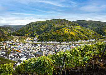 Blick auf Dernau im Herbst