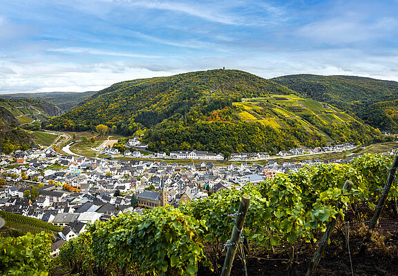 Blick auf Dernau im Herbst