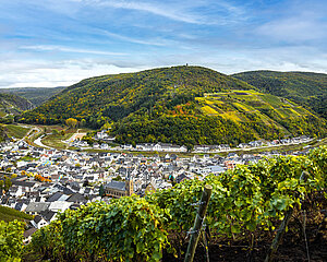 Blick auf Dernau im Herbst