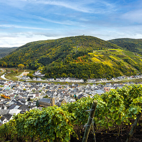Blick auf Dernau im Herbst