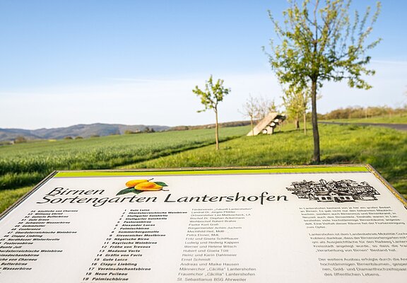 Infotafel am Wanderweg