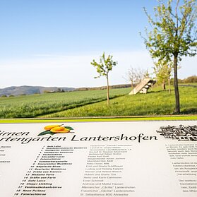 Infotafel am Wanderweg