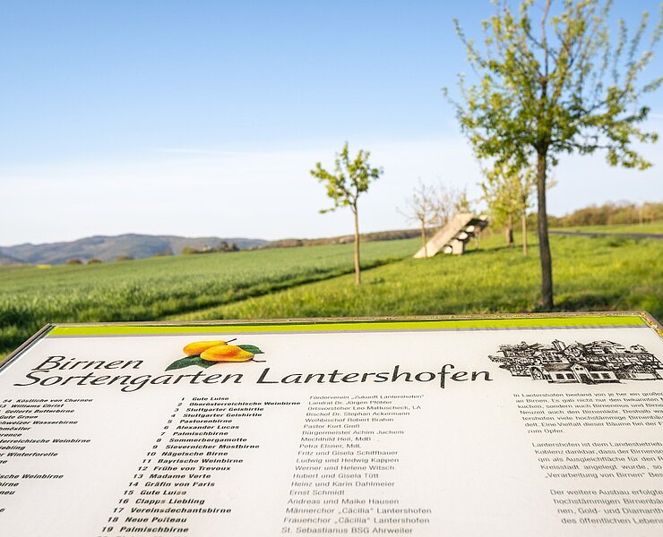 Infotafel am Wanderweg