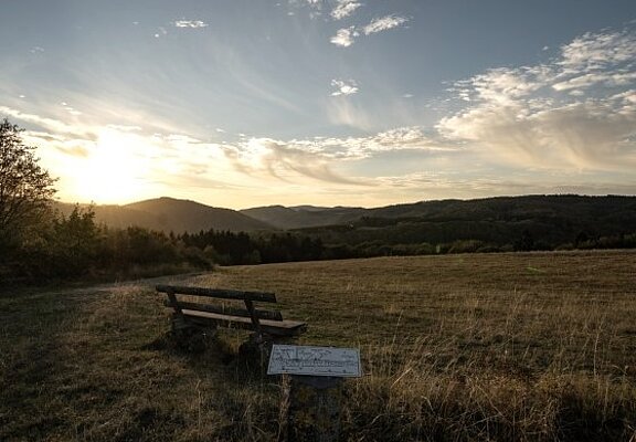 Ausblick in Kirchwald