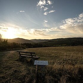 Ausblick in Kirchwald