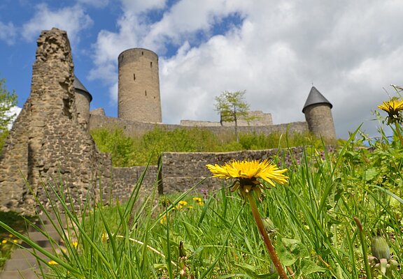 Burgruine Nürburg